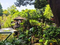 -阿三麻蓉汤圆(顺光大厦店)