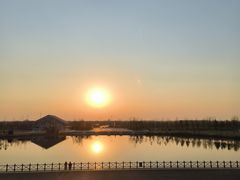 -盐城丹顶鹤湿地生态旅游区