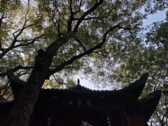 -白帝城·瞿塘峡景区