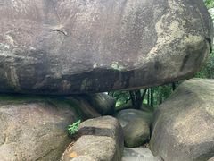 -火炉山森林公园
