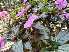 -月亮眼花园餐厅书吧酒吧