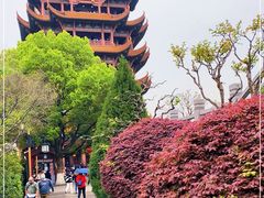 -黄鹤楼公园(黄鹤楼)