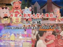 -合肥大剧院