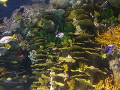 -上海海洋水族馆