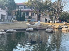 -西昌邛海宾馆