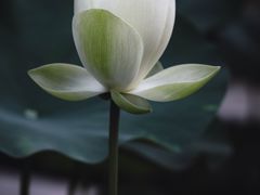 -金山公园