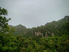 -王顺山国家森林公园