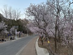 -北京凤凰岭