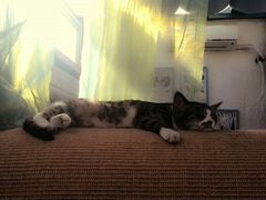 android_upload_pic-Sirena海妖日咖夜酒