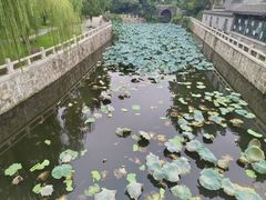 -水绘园