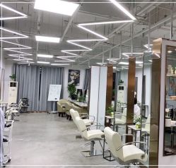 -蚂蚁造型沙龙