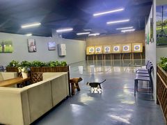 -蓝天射箭馆·专业射箭运动(诚丰广场店)