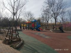 -大兴滨河森林公园