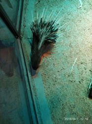 -酷嗒动物文化乐园(cutezoo西溪乐天城店)