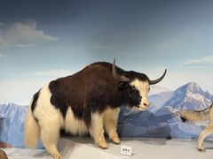 -陕西自然博物馆