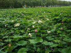 -南戴河国际娱乐中心