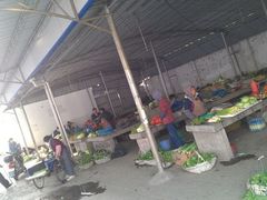 练塘菜市场隔壁的自由市场-练塘古镇