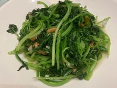 蒜蓉鸡毛菜-新海渔港·胶东海鲜家常菜·家宴(奥体中心店)