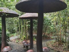 -大屏嶂森林公园