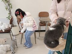 -共舞时光猫咖·狗咖(新街口店)