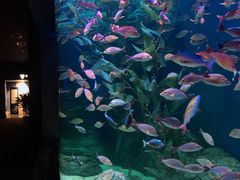 -成都浩海立方海洋公园