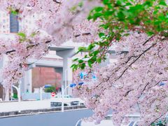 -上海南浦大桥长途旅游客运站
