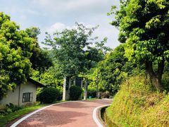 -大屏嶂森林公园