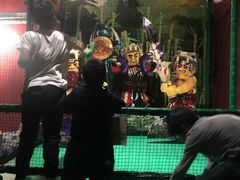 -东京乐高探索中心