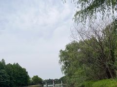 -苏州太湖国家湿地公园