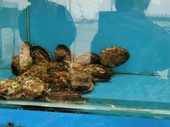 -港畔赶海蒸汽海鲜烧烤自助(仙螺岛店)