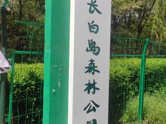 -长白岛森林公园