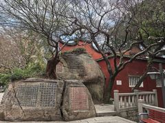 -乌山风景区