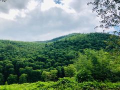 -莫干山风景区