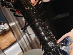 -Oyster Talks 四度蚝法餐厅