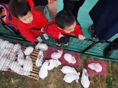 -幸福泉幼儿园(大后仓胡同)