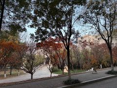 -山东艺术学院(长清校区)