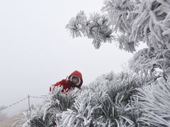 -鲁山国家森林公园