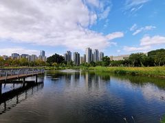 -牛岗山公园