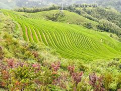 -龙脊梯田