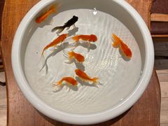 -花城苑广府菜(侨鑫店)