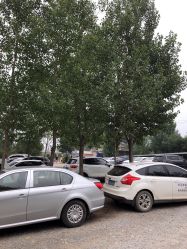 -窦王岭景区游乐场