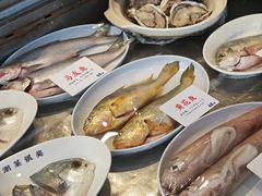 -陈鹏鹏潮汕菜(欢乐海岸 海边景观店)