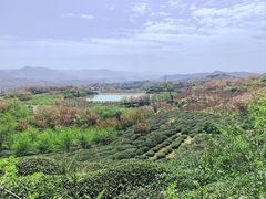 -四明山国家森林公园