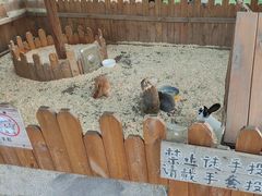 -HERRE·FARM 赫尔露营农场·团建聚会包场