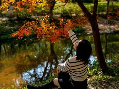 -田野绿世界