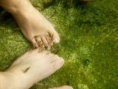 -汤山温泉房车营地 茶温泉