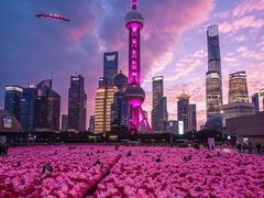 -东方明珠广播电视塔