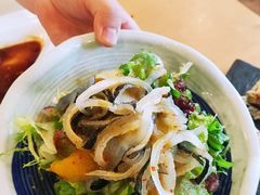 青汁河豚鱼皮沙拉-天正河鲀·河豚亭(大连店)