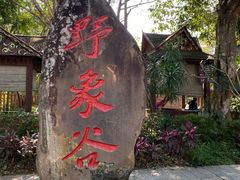 -野象谷景区