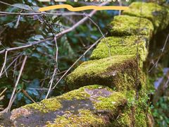 -西溪南古村落景区